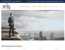 Tablet Screenshot of biz-architect.com